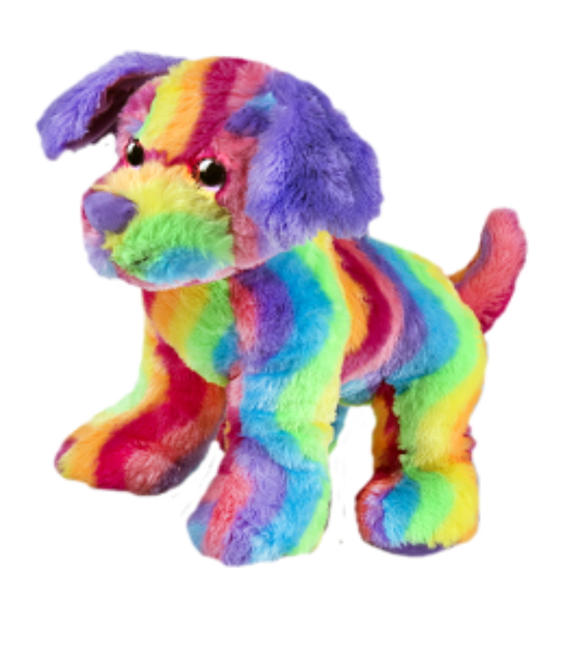 Colorful rainbow-patterned plush dog toy on a white background
